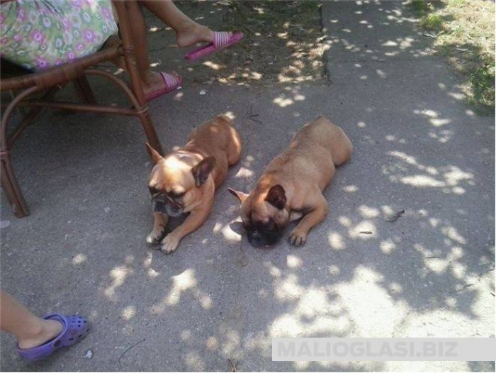 besplatni oglasi za posao kragujevac