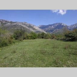 prodajem placeve u baru besplatni mali oglasi