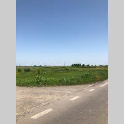 plac od 1,2 ha na putu novi sad zrenjanin besplatni mali oglasi