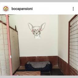 pansioni za pse boca besplatni mali oglasi