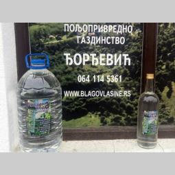 brezina voda sa vlasine besplatni mali oglasi