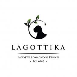 logoto romanjolo štenci besplatni mali oglasi