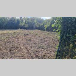 na prodaju plac od 4 05 ara na lokaciji požarevac put beograd besplatni mali oglasi
