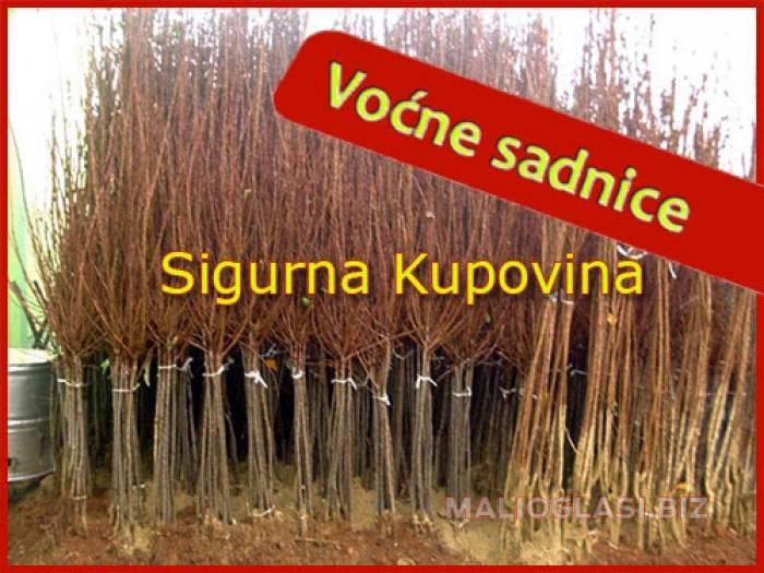sigurno kvalitetne voćne sadnice besplatni mali oglasi