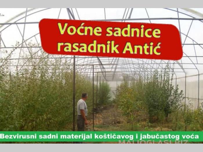 sigurno kvalitetne voćne sadnice besplatni mali oglasi