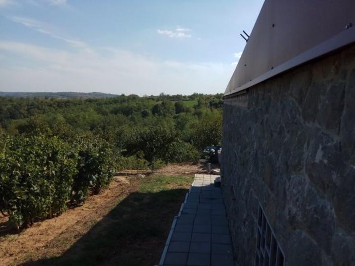 zuce, plac 30ari, kuća 121m2, vinograd, voćnjak, bašta besplatni mali oglasi