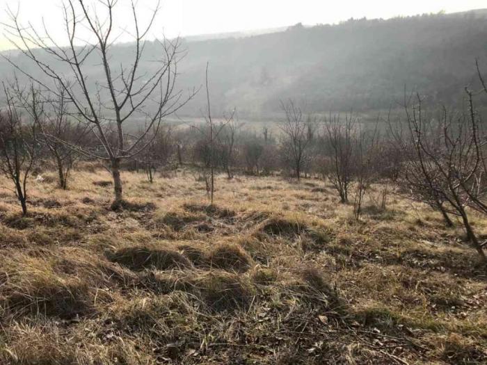 plac na fruškoj gori, krušedol 16 ari besplatni mali oglasi