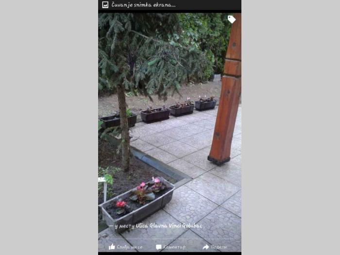 vikendica kod golupca prodaja besplatni mali oglasi
