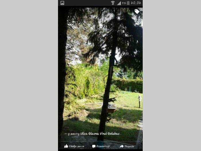 vikendica kod golupca prodaja besplatni mali oglasi