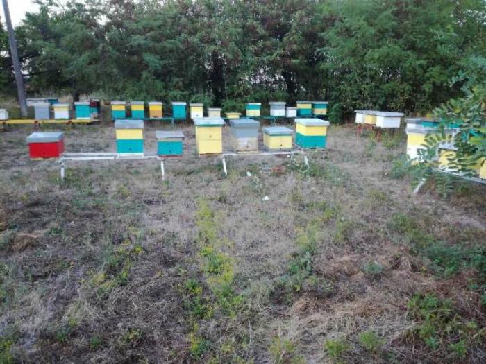 rojevi sa maticama besplatni mali oglasi