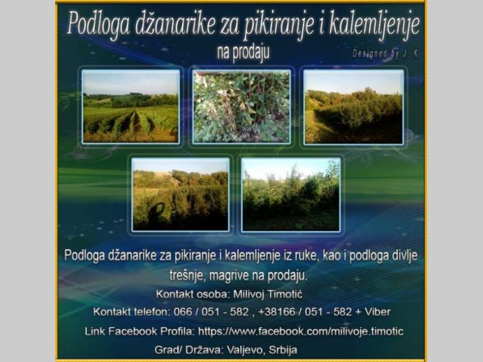 podloga džanarike za pikiranje besplatni mali oglasi