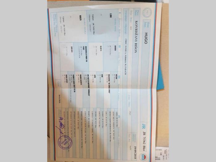 kovrdžavi bišon mužjak i ženkica besplatni mali oglasi