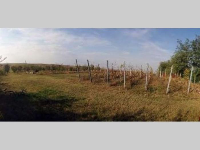 titel, gardinovci kuća 210m2 besplatni mali oglasi