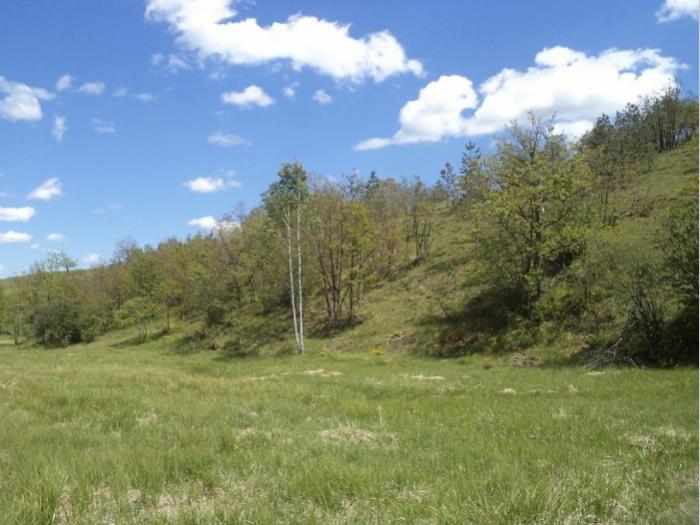 zemljište na prodaju zlatibor besplatni mali oglasi