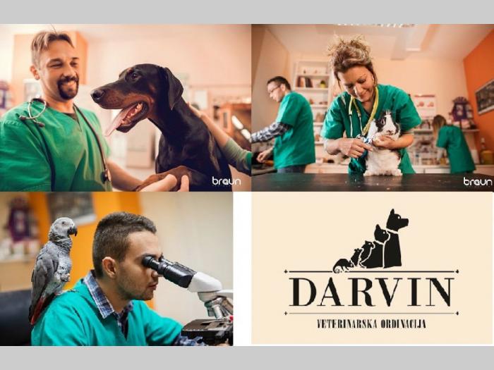 veterinarska ambulanta i pet shop novi sad besplatni mali oglasi
