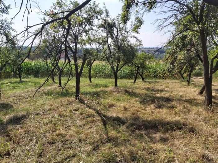 kuća sa imanjem besplatni mali oglasi