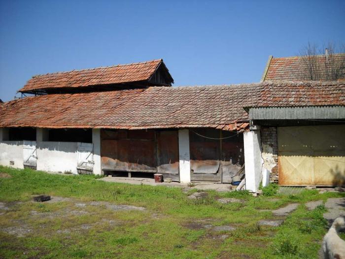kuća 120m2 dvorište bašta 30ari radojevo besplatni mali oglasi