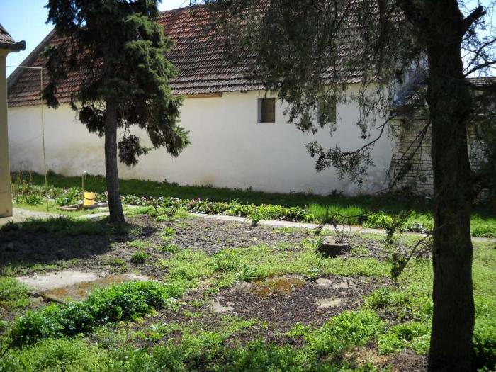 kuća 120m2 dvorište bašta 30ari radojevo besplatni mali oglasi