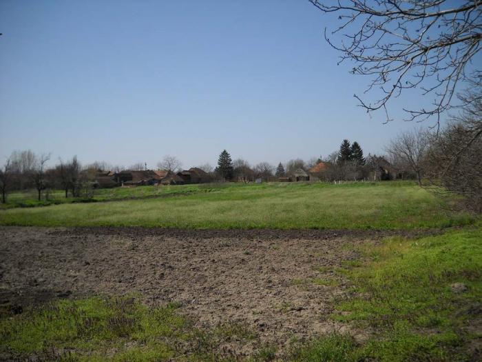 kuća 120m2 dvorište bašta 30ari radojevo besplatni mali oglasi