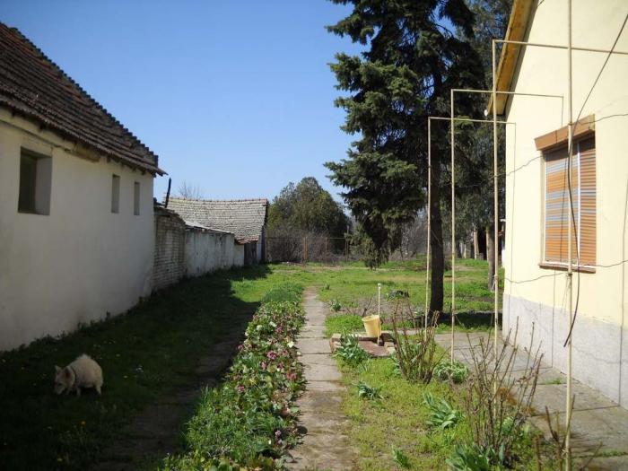kuća 120m2 dvorište bašta 30ari radojevo besplatni mali oglasi