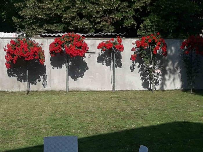 moderna kuća u bačkoj topoli besplatni mali oglasi