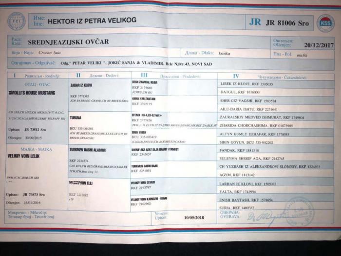 štenci srednjeazijskog ovčara besplatni mali oglasi