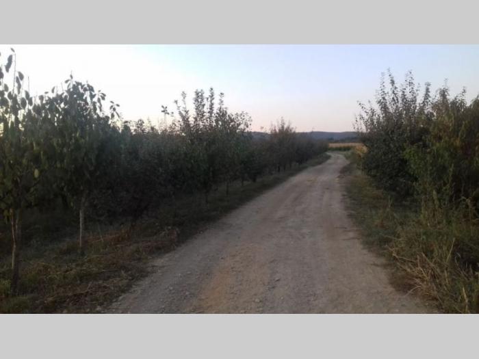 poljoprivredno zemljište sa zasadom voća u irigu besplatni mali oglasi