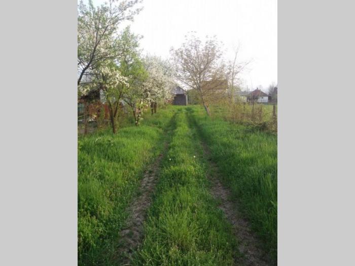 stambeni i poslovni prostor prodaja besplatni mali oglasi