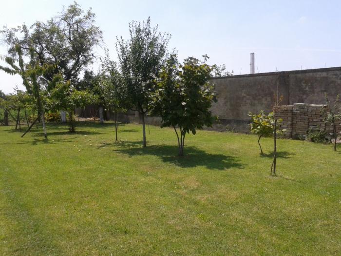 prodajem kuću u buđanovcima besplatni mali oglasi