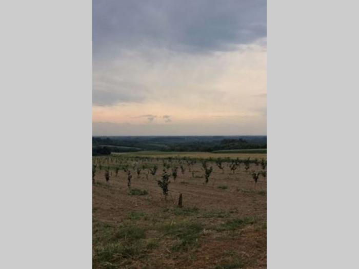 kuća sa plantažom lešnika besplatni mali oglasi