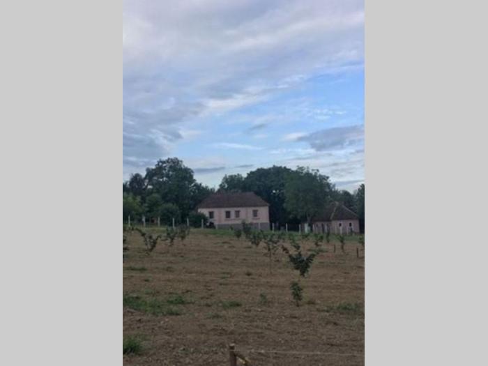 kuća sa plantažom lešnika besplatni mali oglasi