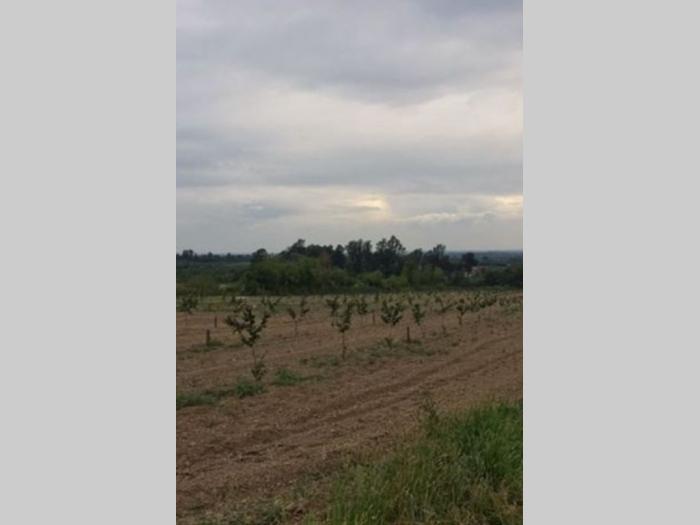 kuća sa plantažom lešnika besplatni mali oglasi