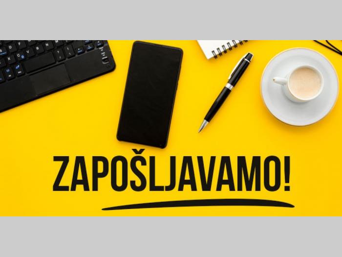 personalni konsultant sa hrvatskim srpskim jezikom besplatni mali oglasi