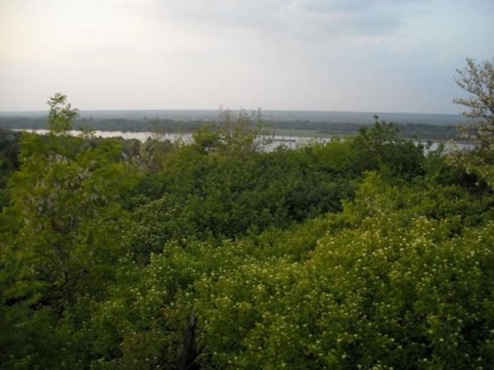 stari slankamen plac na prodaju besplatni mali oglasi