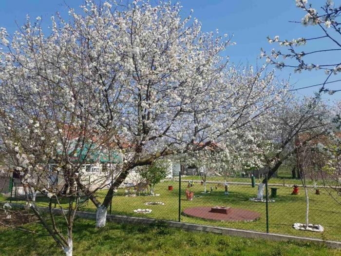danilvgrad, novo selo, kuća i plac besplatni mali oglasi