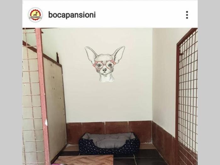 pansioni za pse boca besplatni mali oglasi