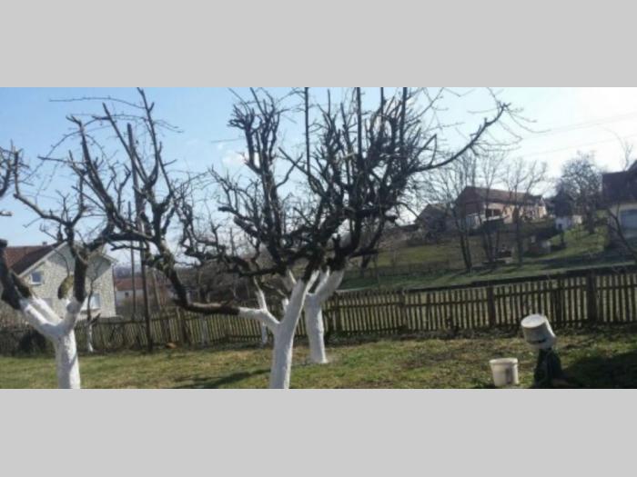 seosko domaćinstvo u petkovici besplatni mali oglasi