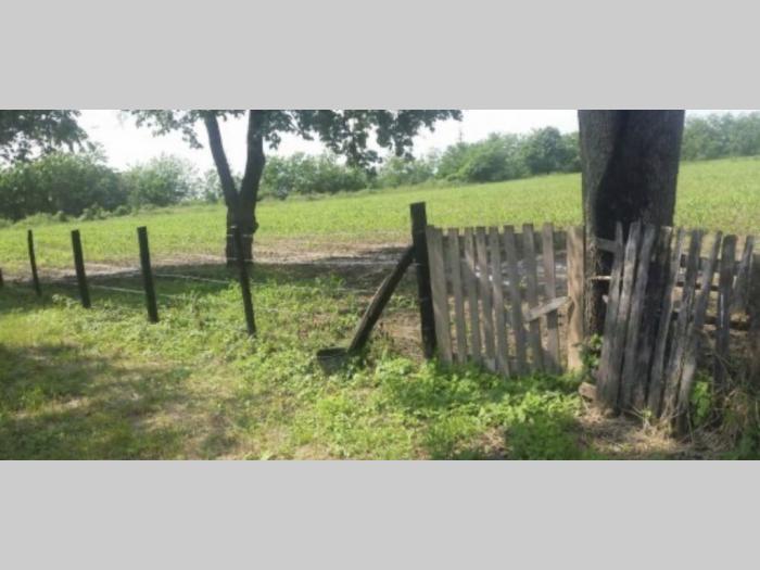 seosko domaćinstvo u petkovici besplatni mali oglasi