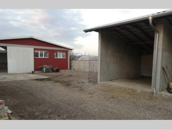 hala,plac kruševac mačkovac besplatni mali oglasi