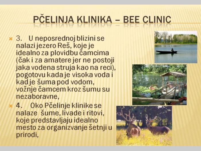 pčelinja klinika bee clinic besplatni mali oglasi