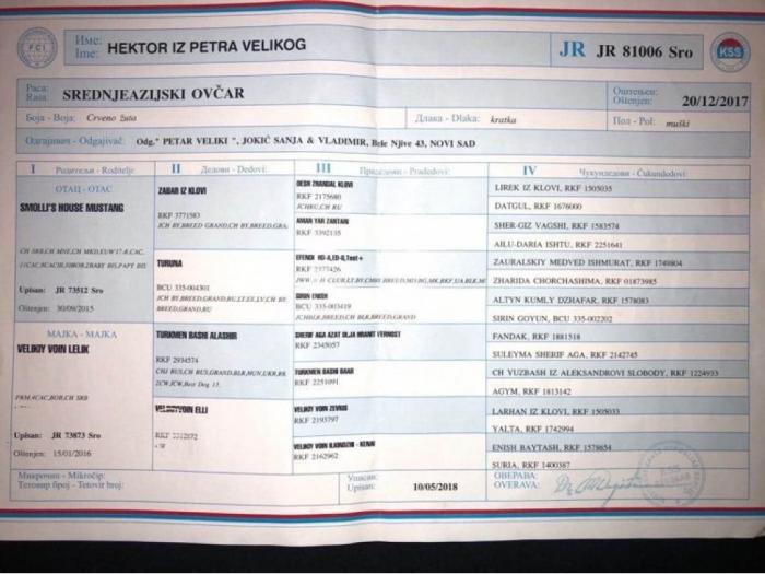srednjeazijski ovčar štenci besplatni mali oglasi