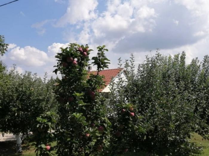 prodajem kuću sa pomoćnim objektom krušedol besplatni mali oglasi