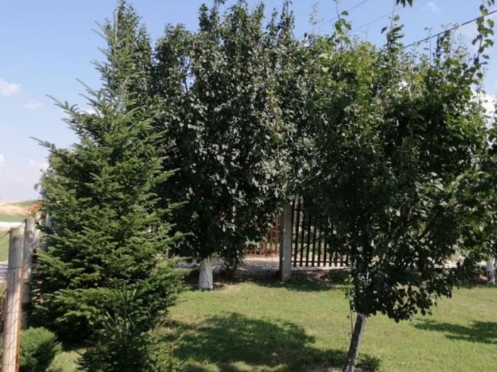 prodajem kuću sa pomoćnim objektom krušedol besplatni mali oglasi