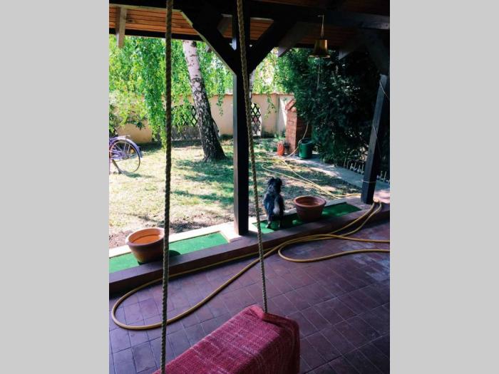 kuća na prodaju čukarica, velika moštanica besplatni mali oglasi