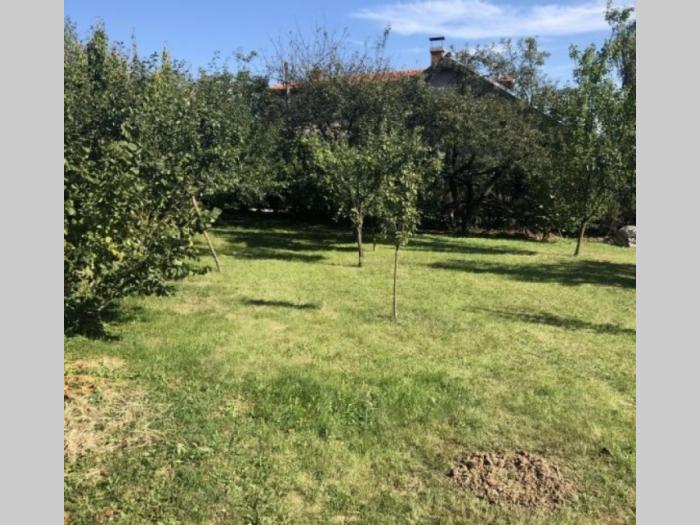 kuće sa razređenim poslom besplatni mali oglasi