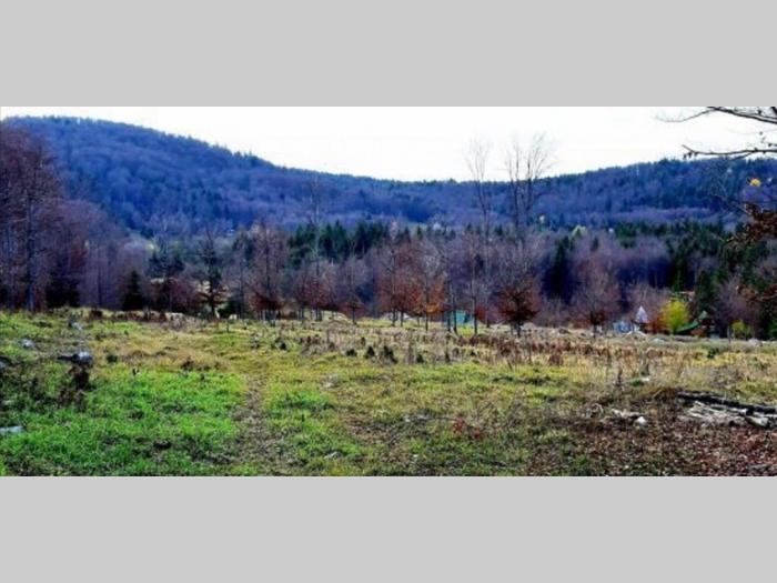 plac na tari sokolina besplatni mali oglasi