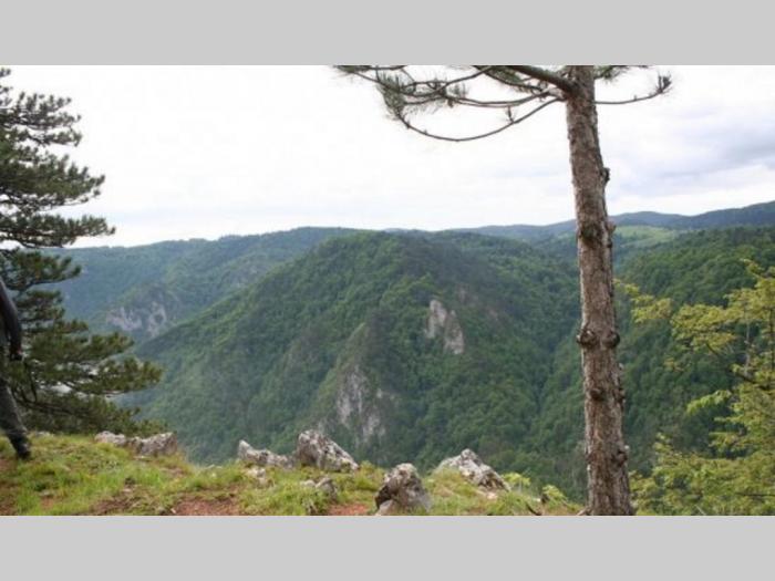 plac na tari sokolina besplatni mali oglasi
