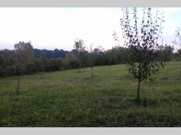 kuća vikendica loznica runjani besplatni mali oglasi