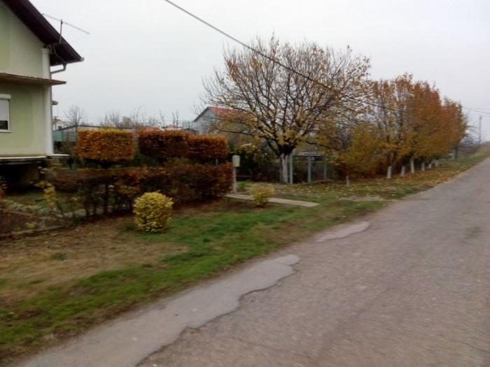 prodajem kuću u surduku besplatni mali oglasi