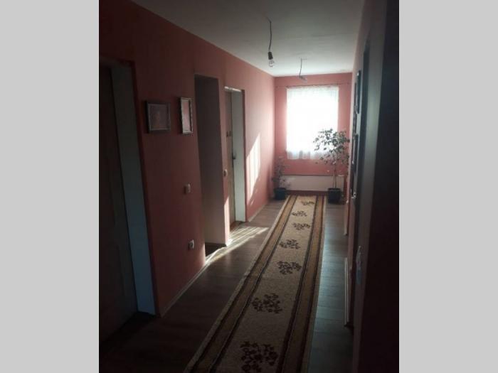 porodična kuča u borči besplatni mali oglasi
